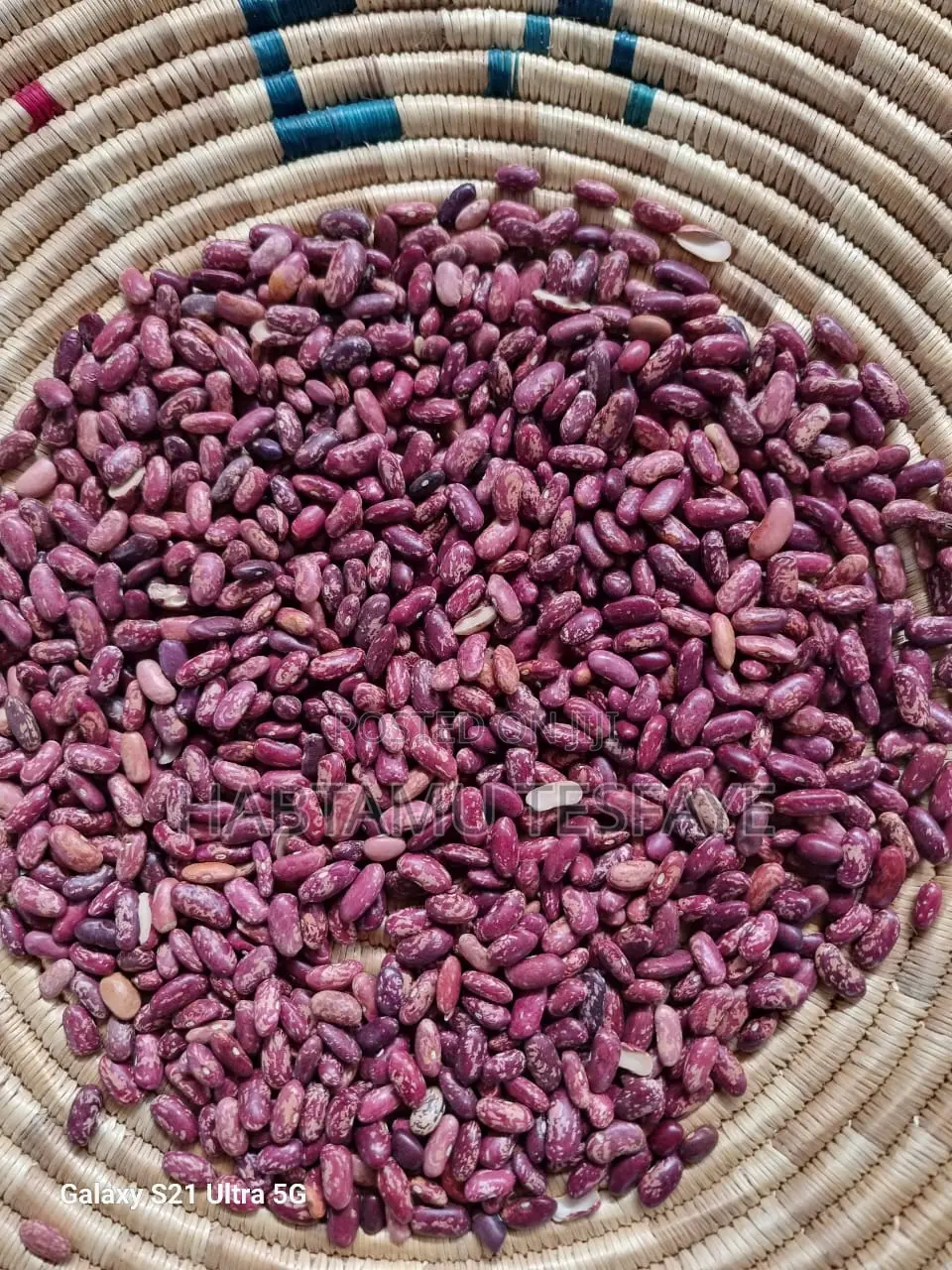 Red Kidney Beans