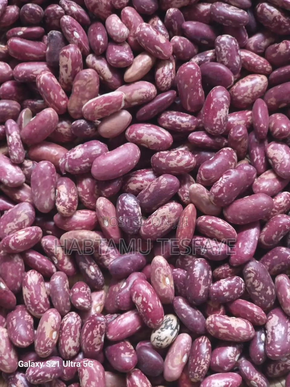 Red Kidney Beans