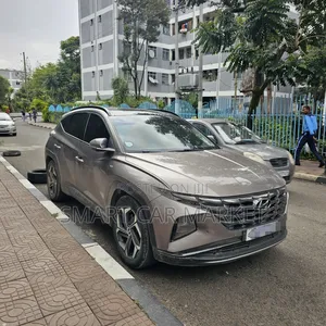 Hyundai Tucson 2021 Brown