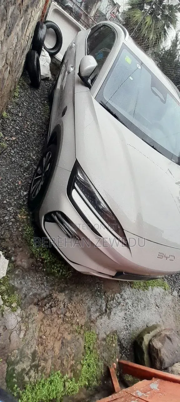 New BYD Song Plus 2025 White
