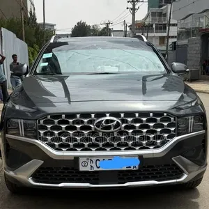 Hyundai Santa Fe Plug-In Hybrid 2023 Gray