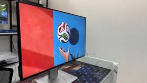 Dell 24 Inch Frame Less Monitor