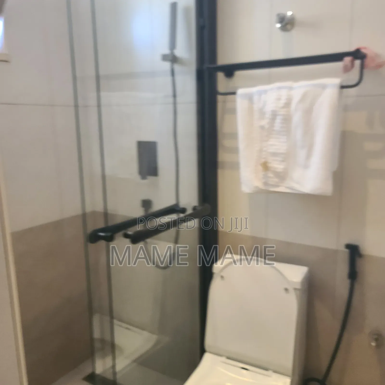 Furnished 2bdrm Apartment in Addis Abeba, Bole for rent