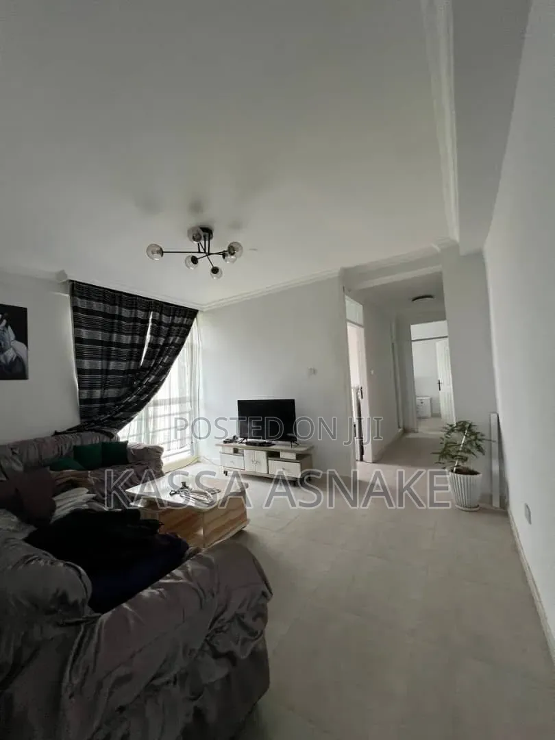 Furnished 1bdrm Apartment in Bole for rent