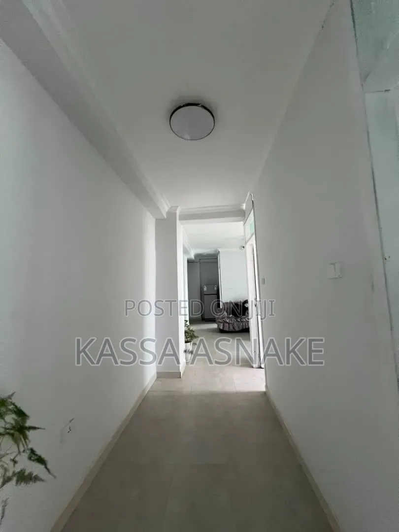 Furnished 1bdrm Apartment in Bole for rent