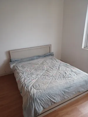 Furnished 1bdrm House in Real Property, Bole for rent