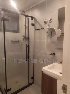 Furnished 3bdrm Apartment in Luxury Fernished, Bole for rent