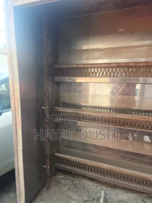 Electric Gas Chicken Roaster