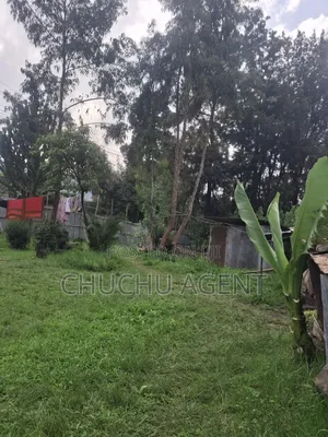 Land for New House Construction 700 Meter Square ፈረንሳይ Ferensay