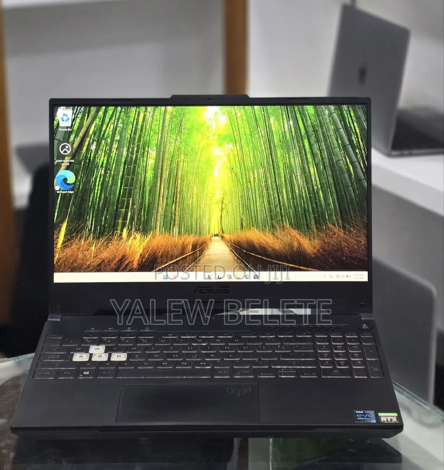 New Laptop Asus TUF Gaming A15 16GB Intel Core i7 SSD 512GB
