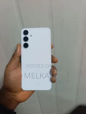 Samsung Galaxy A55 256 GB