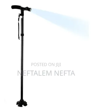 Folding and Extendable Walking Cane