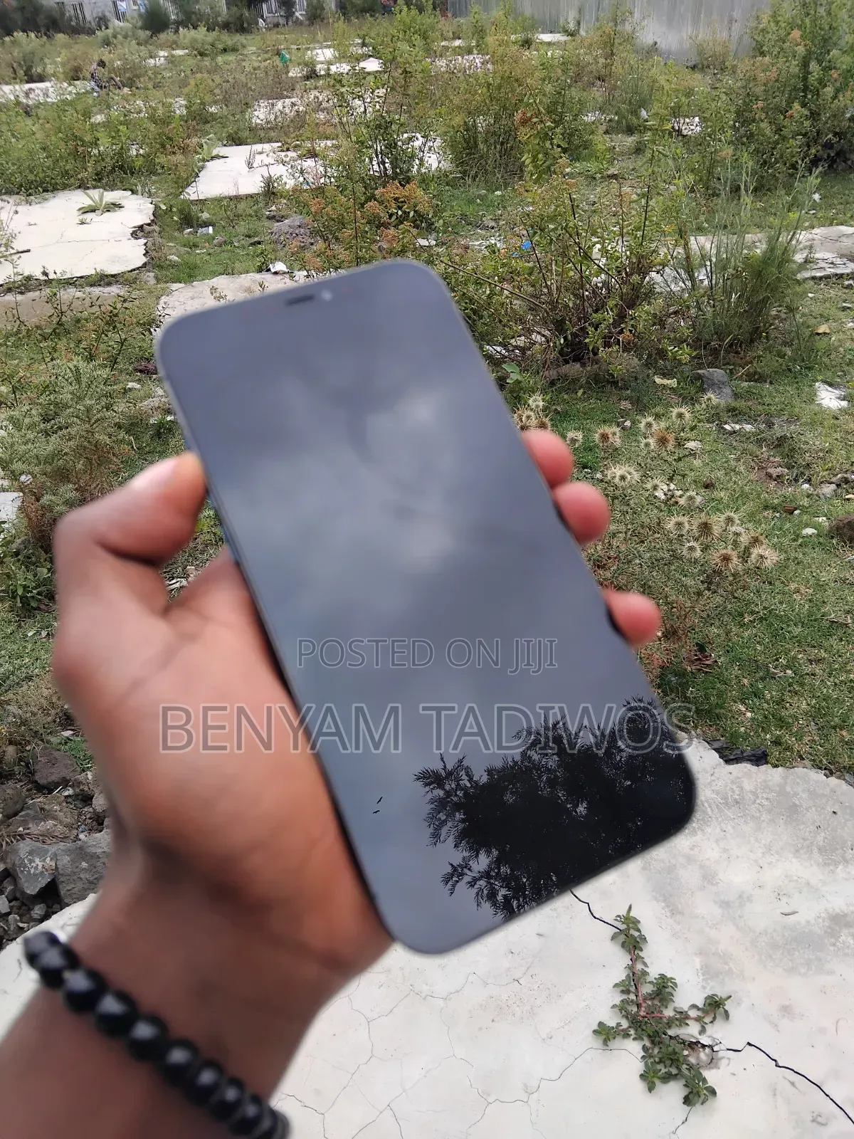 Apple iPhone 12 Pro Max 256 GB Blue