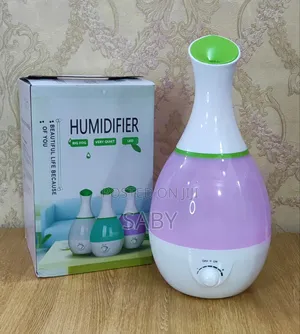 2.5l Cool Humidifier
