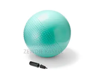 Gym Ball / Yoga Ball Set – 65 Cm (Includes Manual Pump)