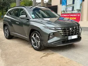 Hyundai Tucson Limited 2022 Gray