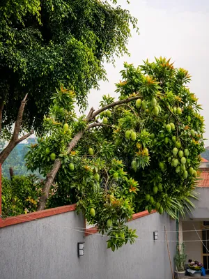 የሚሸጥ 607 ካሬ ቦታ መስቀል ፍላወር