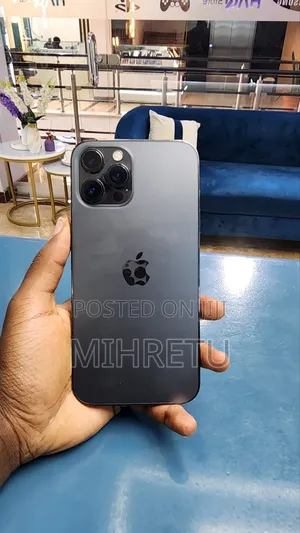 New Apple iPhone 12 Pro Max 256 GB Silver