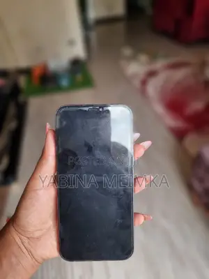 Apple iPhone 12 Pro Max 128 GB Gray