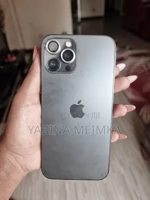 Apple iPhone 12 Pro Max 128 GB Gray