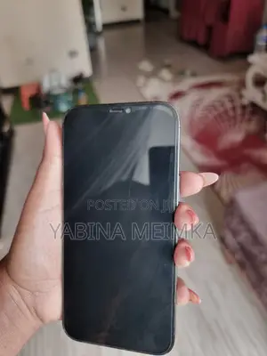 Apple iPhone 12 Pro Max 128 GB Gray