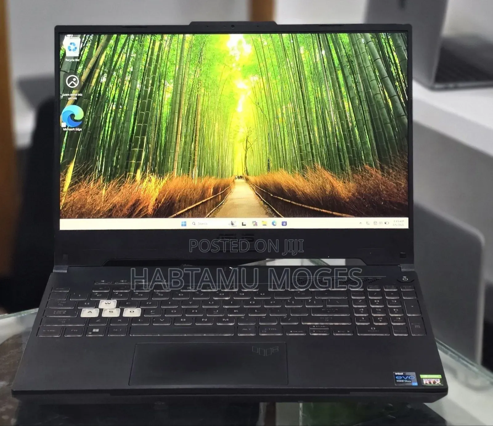 New Laptop Asus TUF Gaming A15 16GB Intel Core i7 SSD 512GB