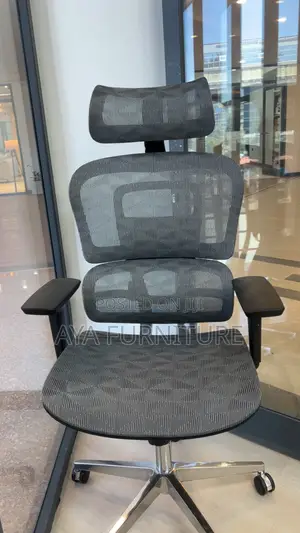 Ergonomic Chair