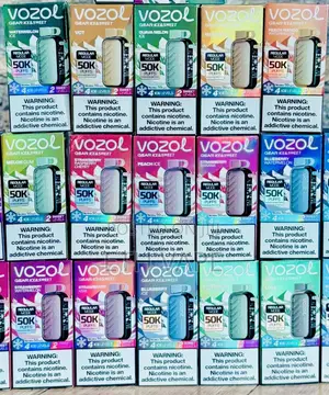 Vozol Vape With Variety Flavors Available