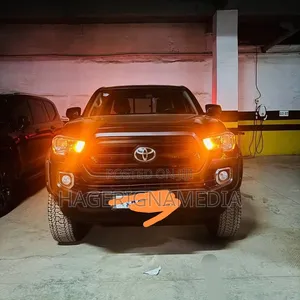 Toyota Tacoma 2017 Gray