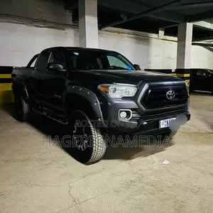 Toyota Tacoma 2017 Gray