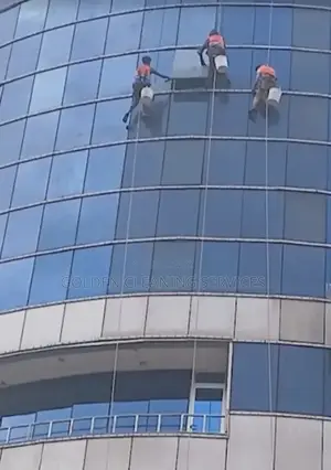 Window Cleaning Service