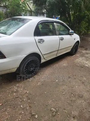 Toyota Corolla 2003 White