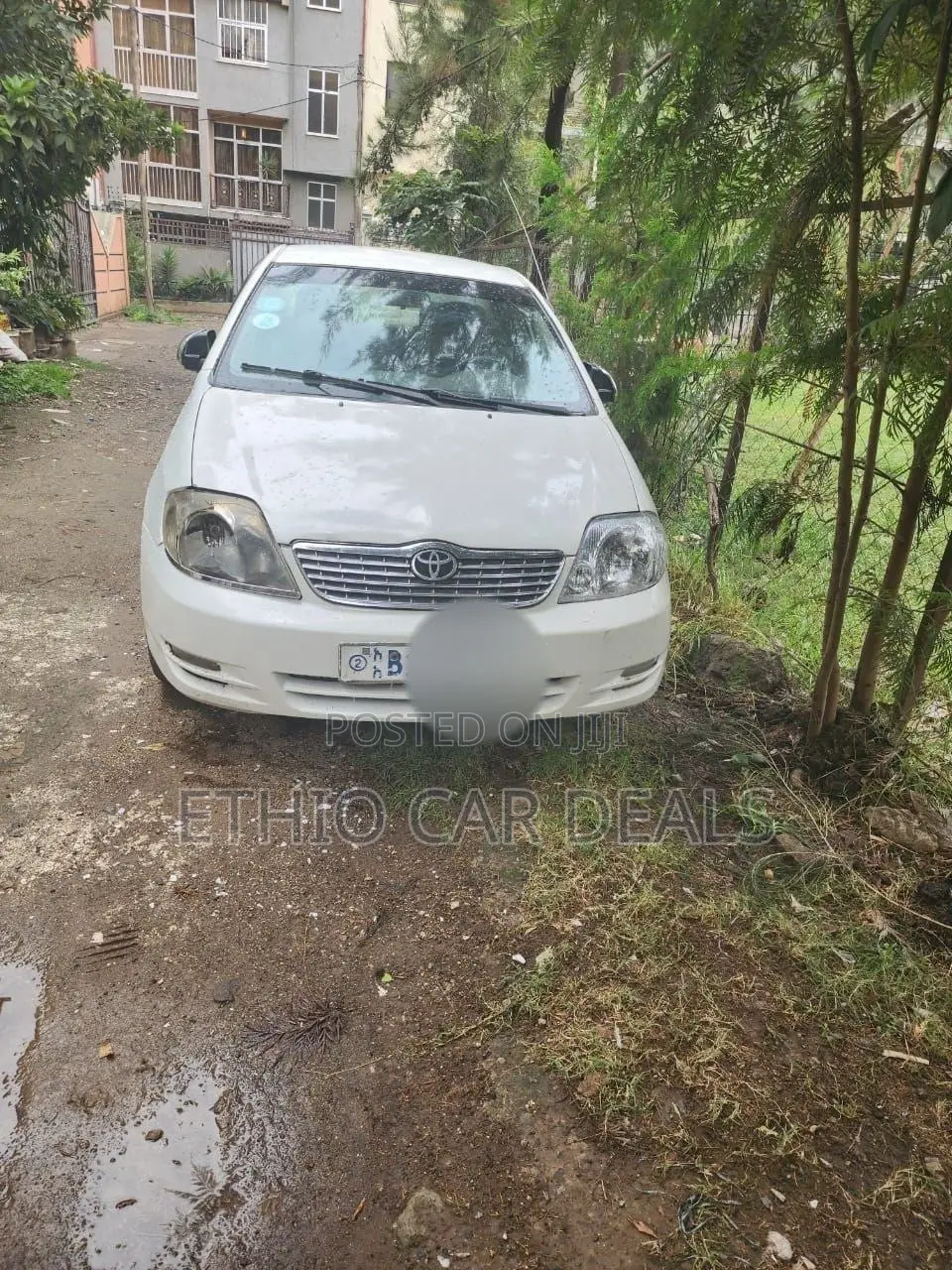 Toyota Corolla 2003 White