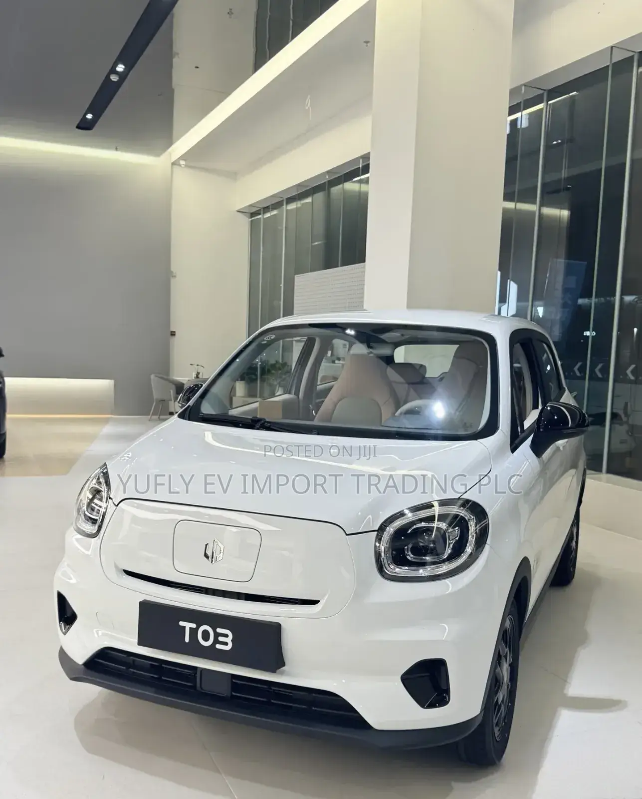 New Leapmotor T03 2025 White