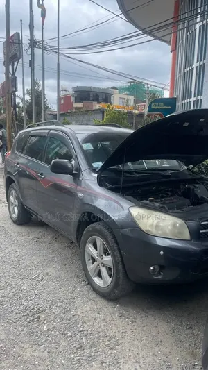 Toyota RAV4 2005 Gray
