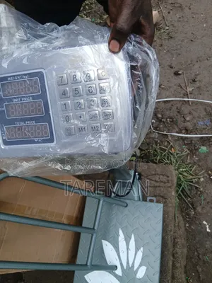 ፡Digital Platform Scale)