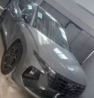 Hyundai Tucson N Line 2022 Gray
