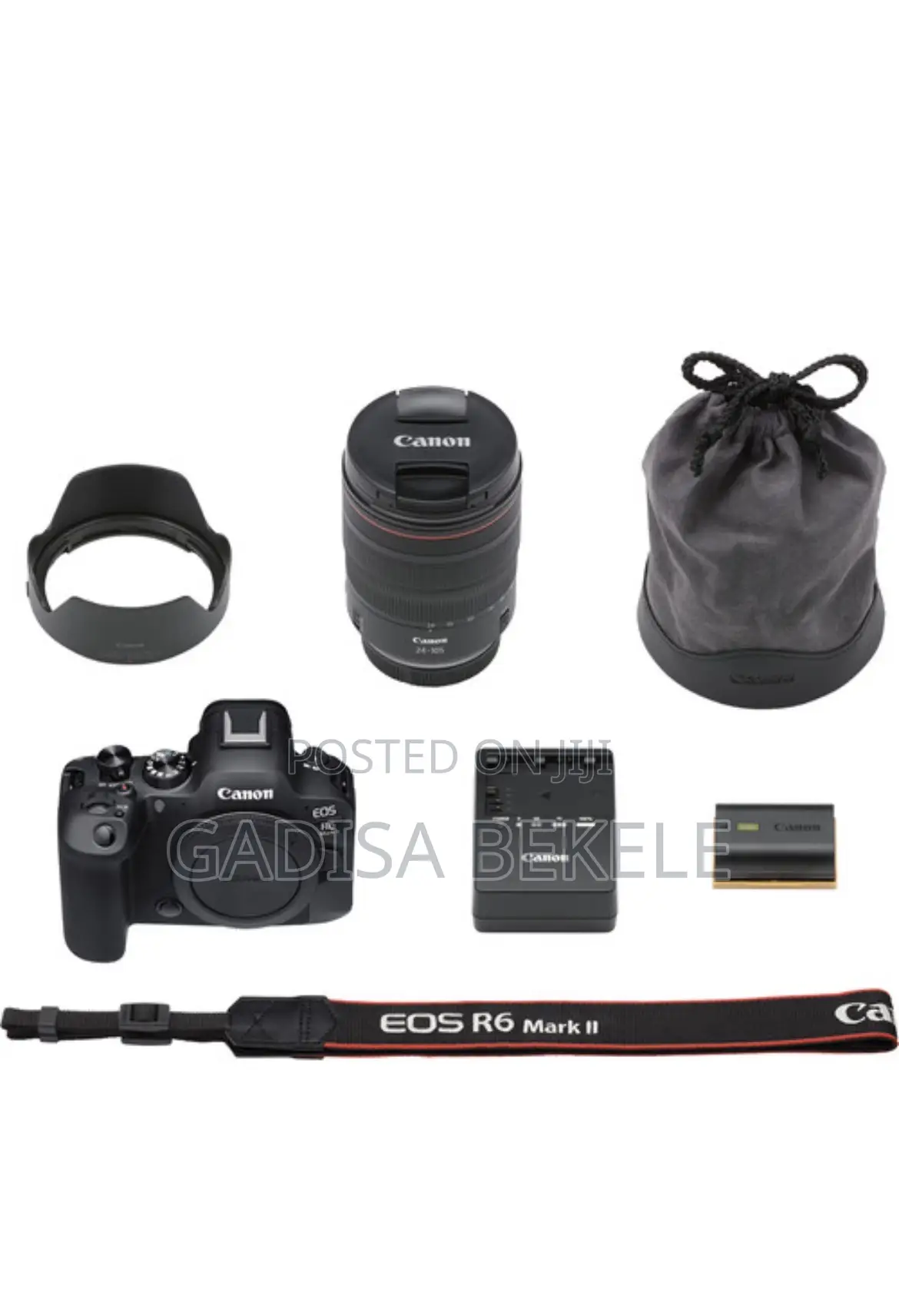 Canon Eos R6 Ii