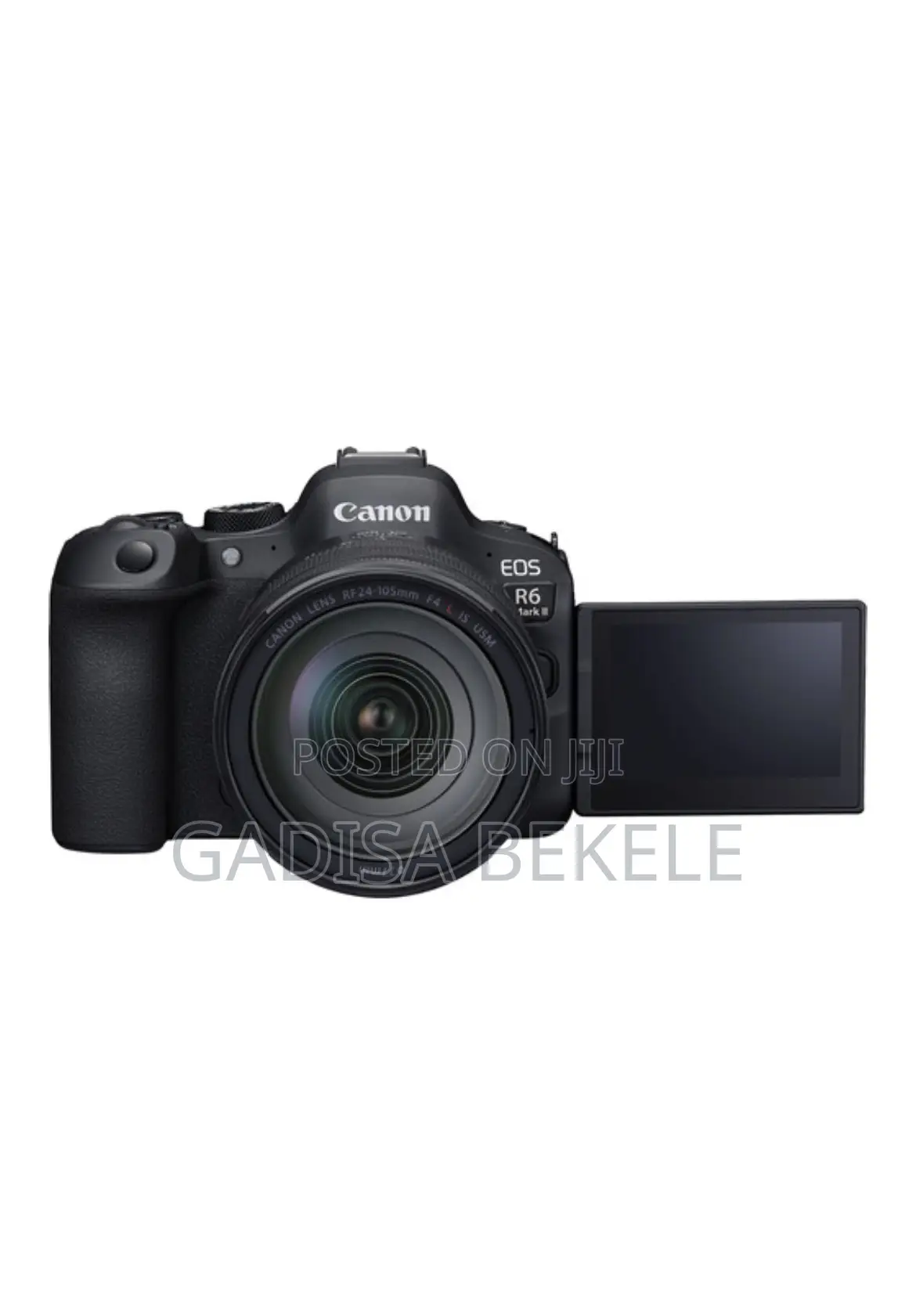 Canon Eos R6 Ii