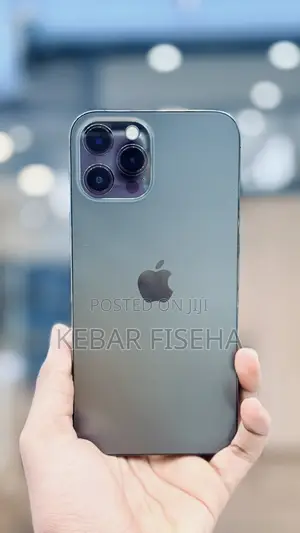 Apple iPhone 12 Pro Max 512 GB Gray