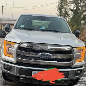 Ford F-150 2016 Silver