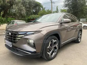 Hyundai Tucson Limited 2022 Brown