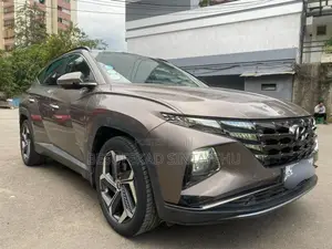 Hyundai Tucson Limited 2022 Brown