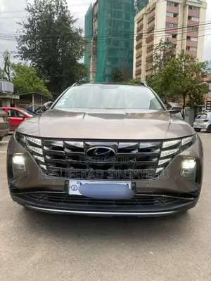 Hyundai Tucson Limited 2022 Brown
