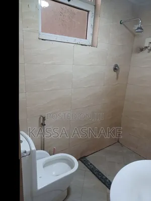 Furnished Studio Apartment in Real Property, Bole for rent