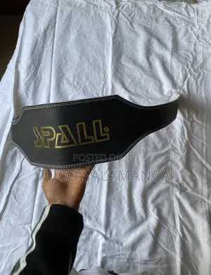 Gym Belt for Lifting