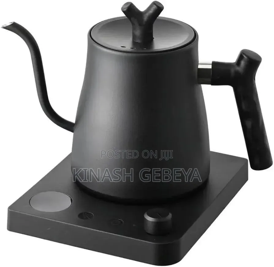 Top Quality Stainless Steel Home Coffee and Water Kettle