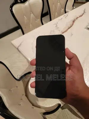 Apple iPhone 15 Pro Max 256 GB Black