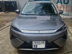 BYD Yuan Plus 2025 Gray