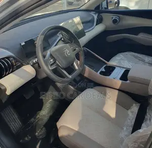 BYD Yuan Plus 2025 Gray